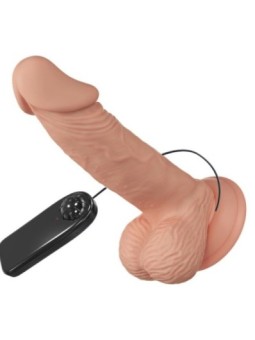 BAILE - BELLE RENCONTRE ZEBULON VIBRATION 19.4 CM NATUREL