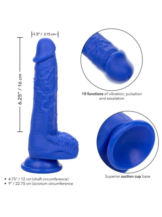 CALEXOTICS - ADMIRAL VIBRATEUR GODE RÉALISTE SAILOR BLEU
