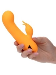 CALEXOTICS - MONTECITO MUSE VIBRATEUR LAPIN ORANGE PAR CALIFORNIA DREAMING