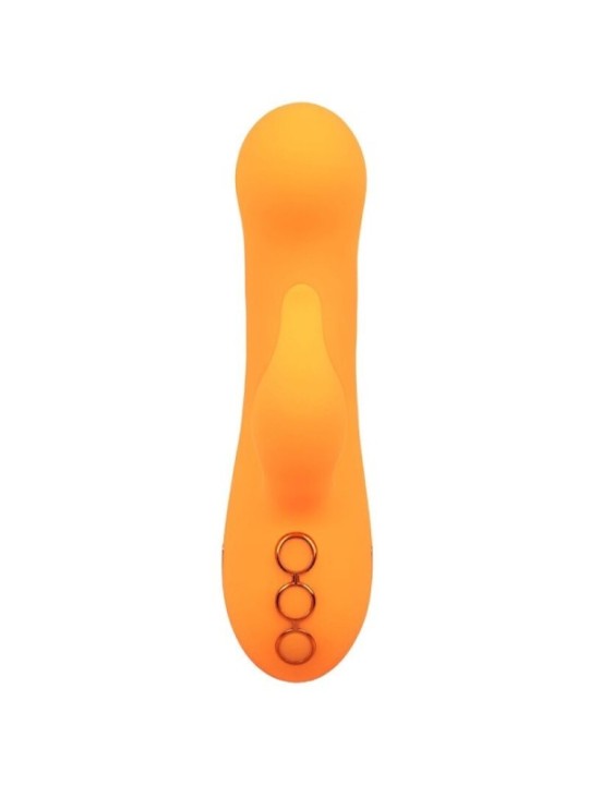 CALEXOTICS - MONTECITO MUSE VIBRATEUR LAPIN ORANGE PAR CALIFORNIA DREAMING