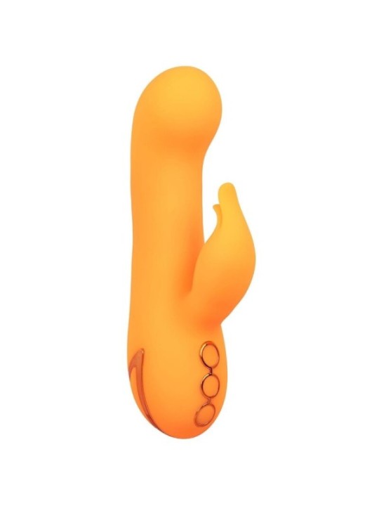 CALEXOTICS - MONTECITO MUSE VIBRATEUR LAPIN ORANGE PAR CALIFORNIA DREAMING