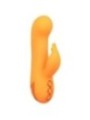 CALEXOTICS - MONTECITO MUSE VIBRATEUR LAPIN ORANGE PAR CALIFORNIA DREAMING