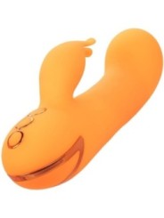 CALEXOTICS - MONTECITO MUSE VIBRATEUR LAPIN ORANGE PAR CALIFORNIA DREAMING