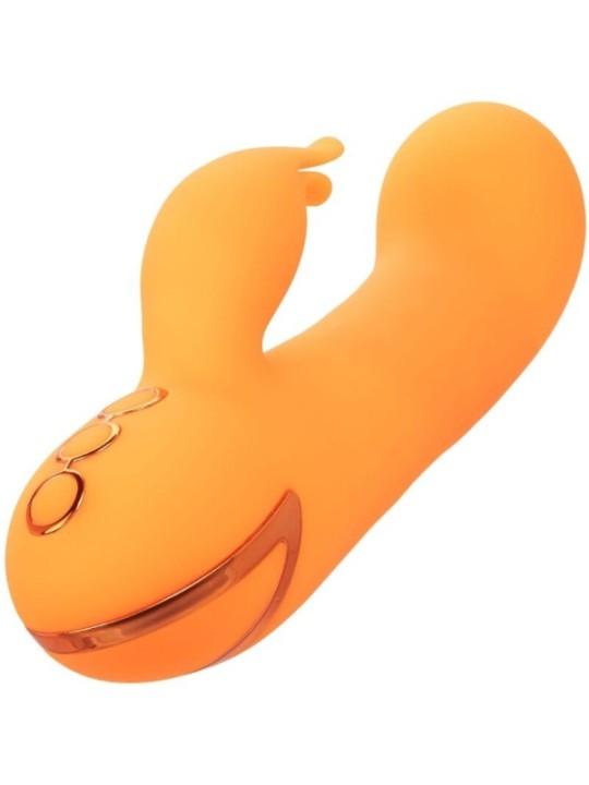 CALEXOTICS - MONTECITO MUSE VIBRATEUR LAPIN ORANGE PAR CALIFORNIA DREAMING