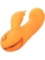 CALEXOTICS - MONTECITO MUSE VIBRATEUR LAPIN ORANGE PAR CALIFORNIA DREAMING