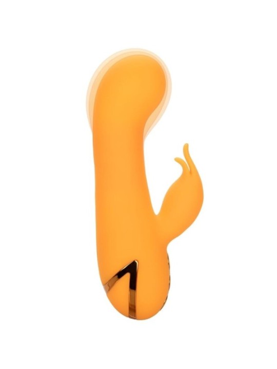 CALEXOTICS - MONTECITO MUSE VIBRATEUR LAPIN ORANGE PAR CALIFORNIA DREAMING