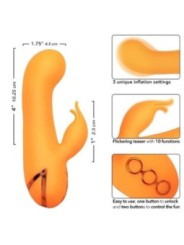 CALEXOTICS - MONTECITO MUSE VIBRATEUR LAPIN ORANGE PAR CALIFORNIA DREAMING