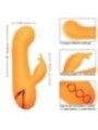 CALEXOTICS - MONTECITO MUSE VIBRATEUR LAPIN ORANGE PAR CALIFORNIA DREAMING