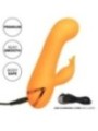 CALEXOTICS - MONTECITO MUSE VIBRATEUR LAPIN ORANGE PAR CALIFORNIA DREAMING