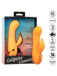 CALEXOTICS - MONTECITO MUSE VIBRATEUR LAPIN ORANGE PAR CALIFORNIA DREAMING