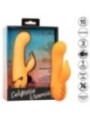 CALEXOTICS - MONTECITO MUSE VIBRATEUR LAPIN ORANGE PAR CALIFORNIA DREAMING