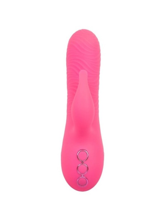 CALEXOTICS - SACRAMENTO SWEETIE VIBRATEUR LAPIN ROSE PAR CALIFORNIA DREAMING