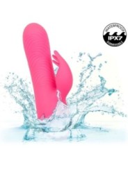 CALEXOTICS - SACRAMENTO SWEETIE VIBRATEUR LAPIN ROSE PAR CALIFORNIA DREAMING