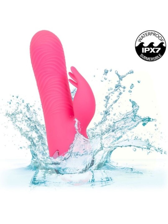 CALEXOTICS - SACRAMENTO SWEETIE VIBRATEUR LAPIN ROSE PAR CALIFORNIA DREAMING