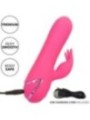 CALEXOTICS - SACRAMENTO SWEETIE VIBRATEUR LAPIN ROSE PAR CALIFORNIA DREAMING
