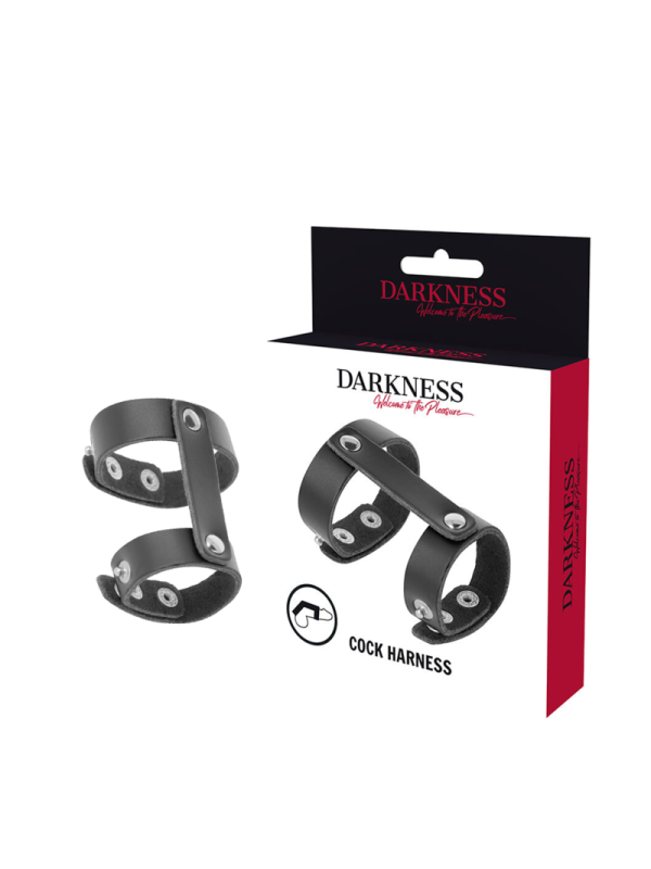 DARKNESS - ANNEAU DE PÉNIS ET TESTICULES RÉGLABLE EN CUIR