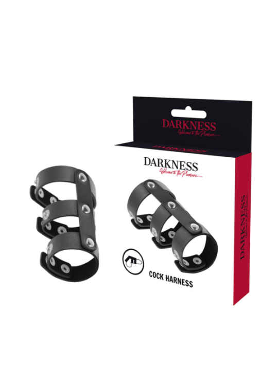 DARKNESS - DOUBLE ANNEAU DE PÉNIS ET TESTICULES EN CUIR RÉGLABLE