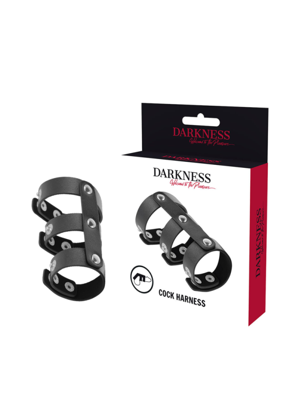 DARKNESS - DOUBLE ANNEAU DE PÉNIS ET TESTICULES EN CUIR RÉGLABLE