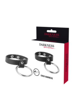 DARKNESS - ANNEAU MÉTALLIQUE POUR LE PÉNIS ET LES TESTICULES