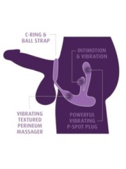 ANAL FANTASY ELITE - STIMULATEUR ANAL ET PÉRINÉAL RECHARGEABLE ASS-GASM INTIMOTION