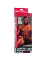 CALEXOTICS - LA BITE DE COLT ADAM DEXTER
