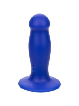 CALEXOTICS - ADMIRAL...