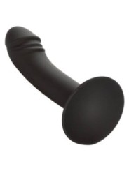 CALEXOTICS - STUD ANAL COURB?