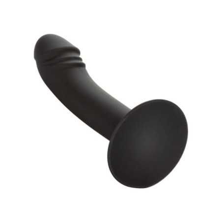 CALEXOTICS - STUD ANAL COURB?