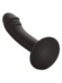 CALEXOTICS - STUD ANAL COURB?