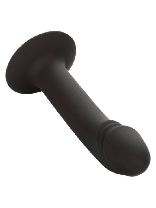 CALEXOTICS - STUD ANAL COURB?