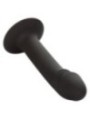 CALEXOTICS - STUD ANAL COURB?