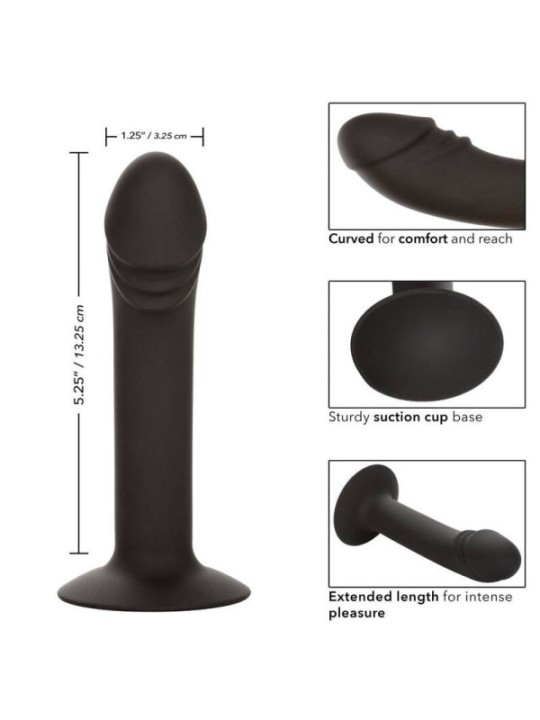 CALEXOTICS - STUD ANAL COURB?