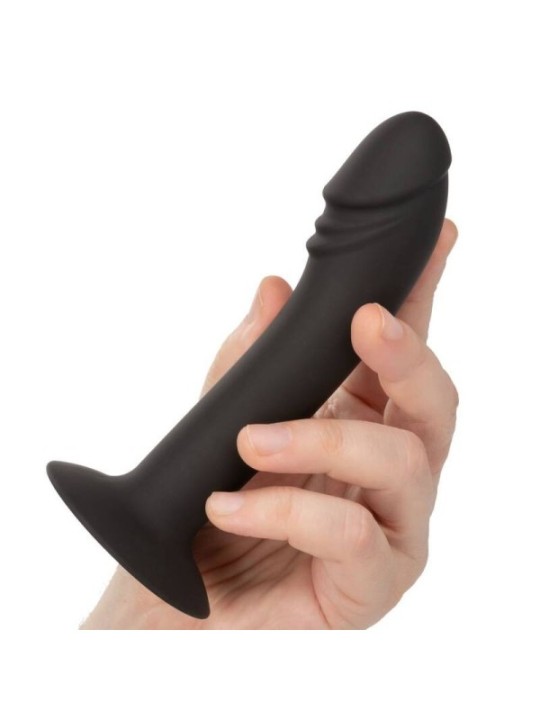 CALEXOTICS - STUD ANAL COURB?