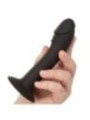 CALEXOTICS - STUD ANAL COURB?