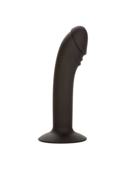 CALEXOTICS - STUD ANAL COURB?