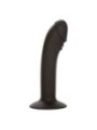 CALEXOTICS - STUD ANAL COURB?