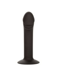CALEXOTICS - STUD ANAL COURB?