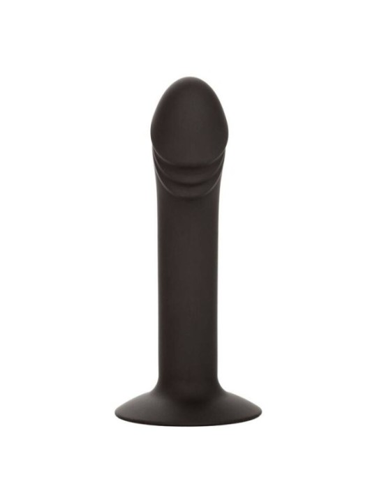 CALEXOTICS - STUD ANAL COURB?