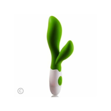 PRETTY LOVE - FLIRTATION VIBRATEUR OWEN VERT