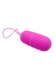 PRETTY LOVE - OEUF VIBRANT ARVIN TÉLÉCOMMANDE 12V
