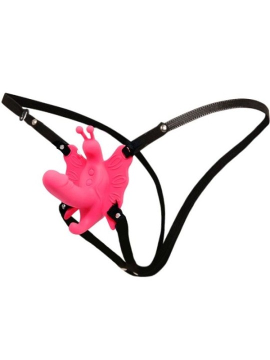 BAILE - HARNAIS PAPILLON VIBRANT ULTRA PASSIONN?