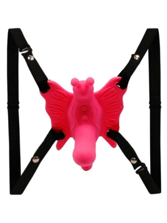 BAILE - HARNAIS PAPILLON VIBRANT ULTRA PASSIONN?
