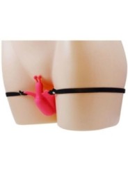 BAILE - HARNAIS PAPILLON VIBRANT ULTRA PASSIONN?