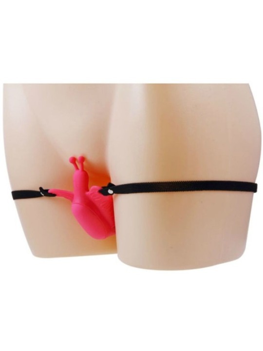 BAILE - HARNAIS PAPILLON VIBRANT ULTRA PASSIONN?