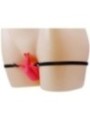 BAILE - HARNAIS PAPILLON VIBRANT ULTRA PASSIONN?