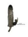 BAILE - COUVRE-PÉNIS BRAVE MAN AVEC LAPIN NOIR 16.5 CM