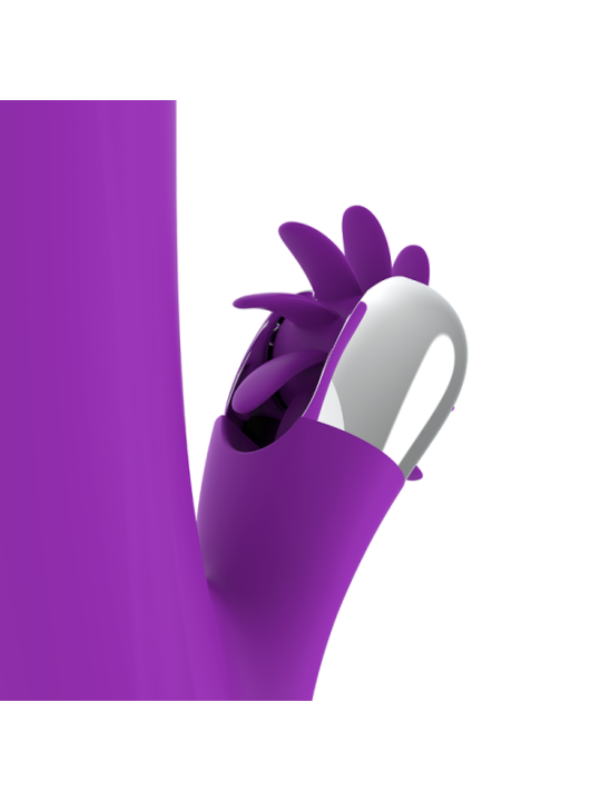 FUN FUNCTION - ROTATION DRÔLE DE LAPIN 2.0