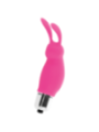 INTENSE - LAPIN ROGER ROSA