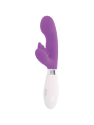 GLOSSY - LAPIN ELVIS VIOLET