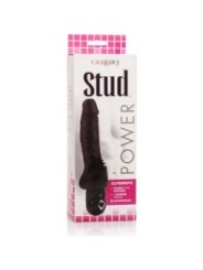 CALEXOTICS - VIBRATEUR NOIR POWER STUD CLITERRIFIC